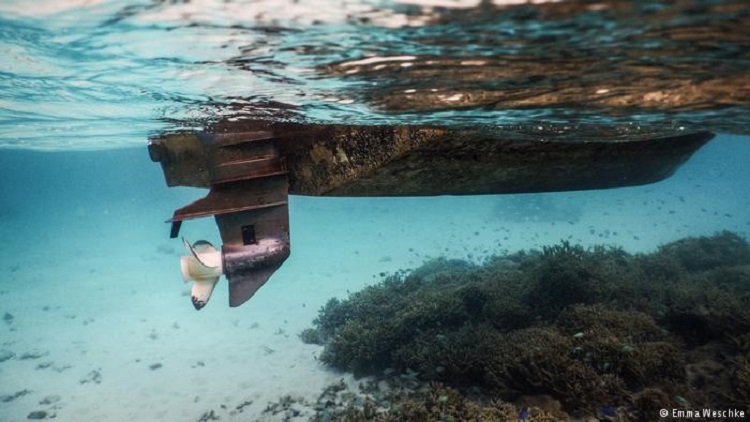 El sonido se propaga cinco veces más rápido bajo el agua que en tierra, lo que hace aún más difícil de ignorar un estruendo subacuático.