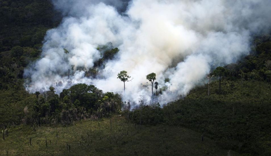 Incendios En Amazonía De Brasil Son Los Más Terribles En Los últimos ...