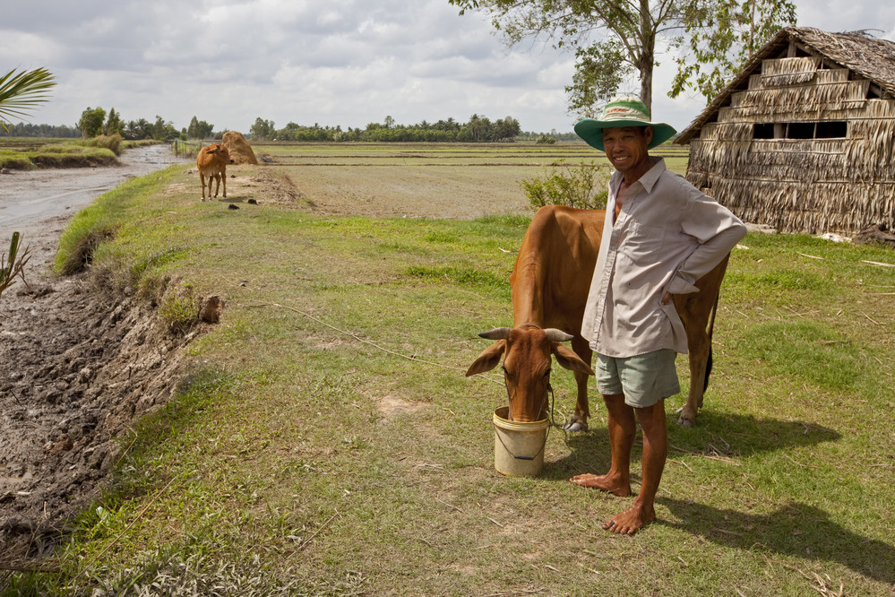 Helping Vietnamese Farmers Adapt To A Changing Climate Servindi